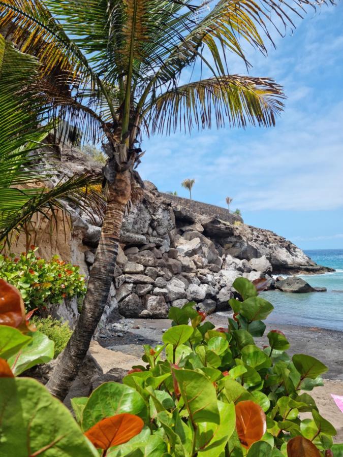 Stunning Studio With A Sea View And Pool, Paraiso Del Sur 1309 Costa Adeje  Luaran gambar